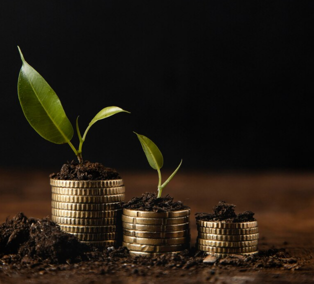 Wealth Management Services